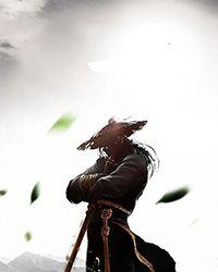 [兄弟战争]妹妹争夺战